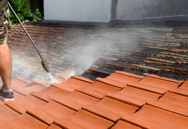 Best Exterior Home Cleaning  in Rexland Acres, CA
