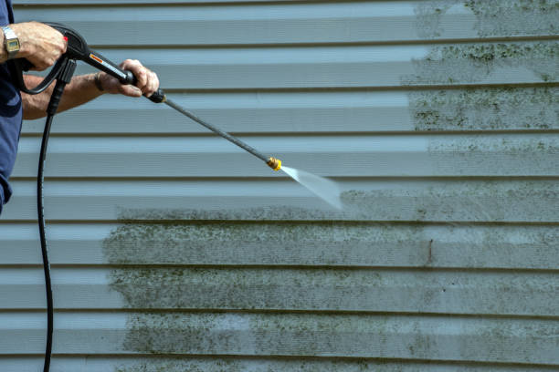 Best Concrete Pressure Washing  in Rexland Acres, CA